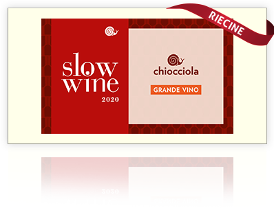 riconoscimenti-singoli-2020-slowine riconoscimenti-singoli-2020-slowine